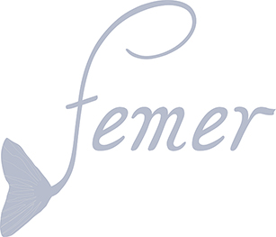 femer_logo