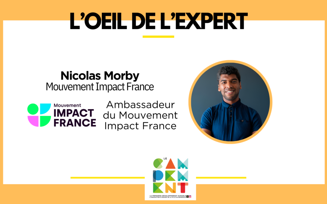 L’oeil de l’expert avec Nicolas Morby