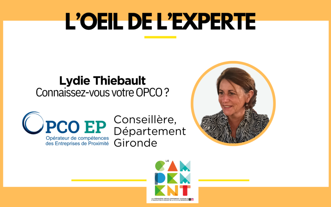 L’oeil de l’experte avec Lydie Thiebault