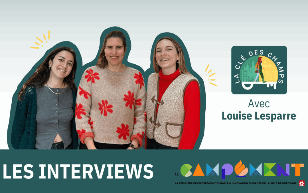🎓La formation et l’orientation – Partie 2