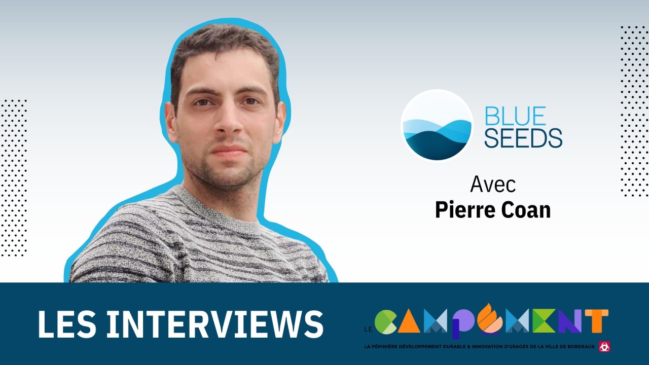 interview blue seeds